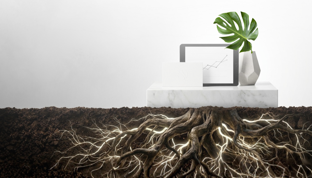 Graphic Grove - Thrive, Grow, Flourish | Creative Design Agency